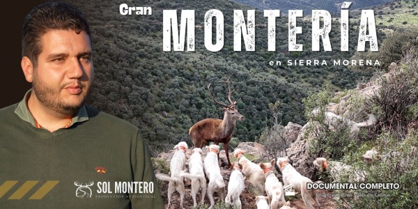 Gran Montería en Sierra Morena🦌🐗 |con Ruiz Caza Servicios Cinegéticos