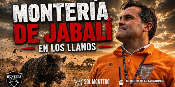 🐗 MONTERÍA DE JABALÍES EN LOS LLANOS | Caza Salvaje con Hunters Hispania
